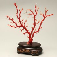 珊瑚 原木 置物