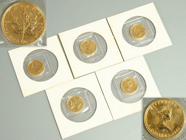 【FINE GOLD刻】カナダ エリザベス女王 メイプルリーフ 5ドル 金貨 1/10オンス 5枚セット