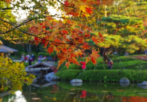 11/6(金) 杉並区にて出張買取をさせていただきます。