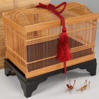 竹工芸【熊谷竹細工店】竹編 虫籠 虫細工 塗台座 箱付属